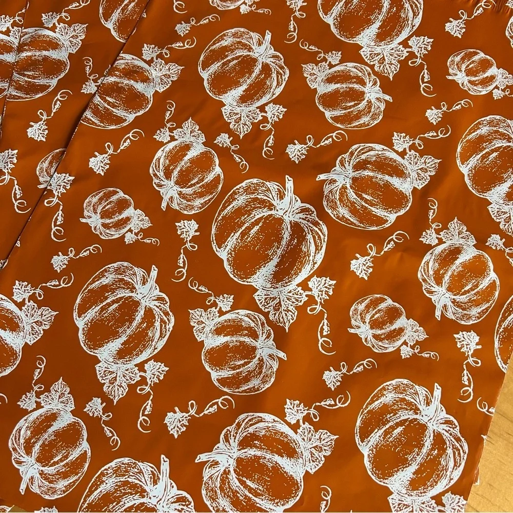 10 Count Polymailer Size Variety Bundle - PUMPKINS (5/6x9 + 5/14x19)